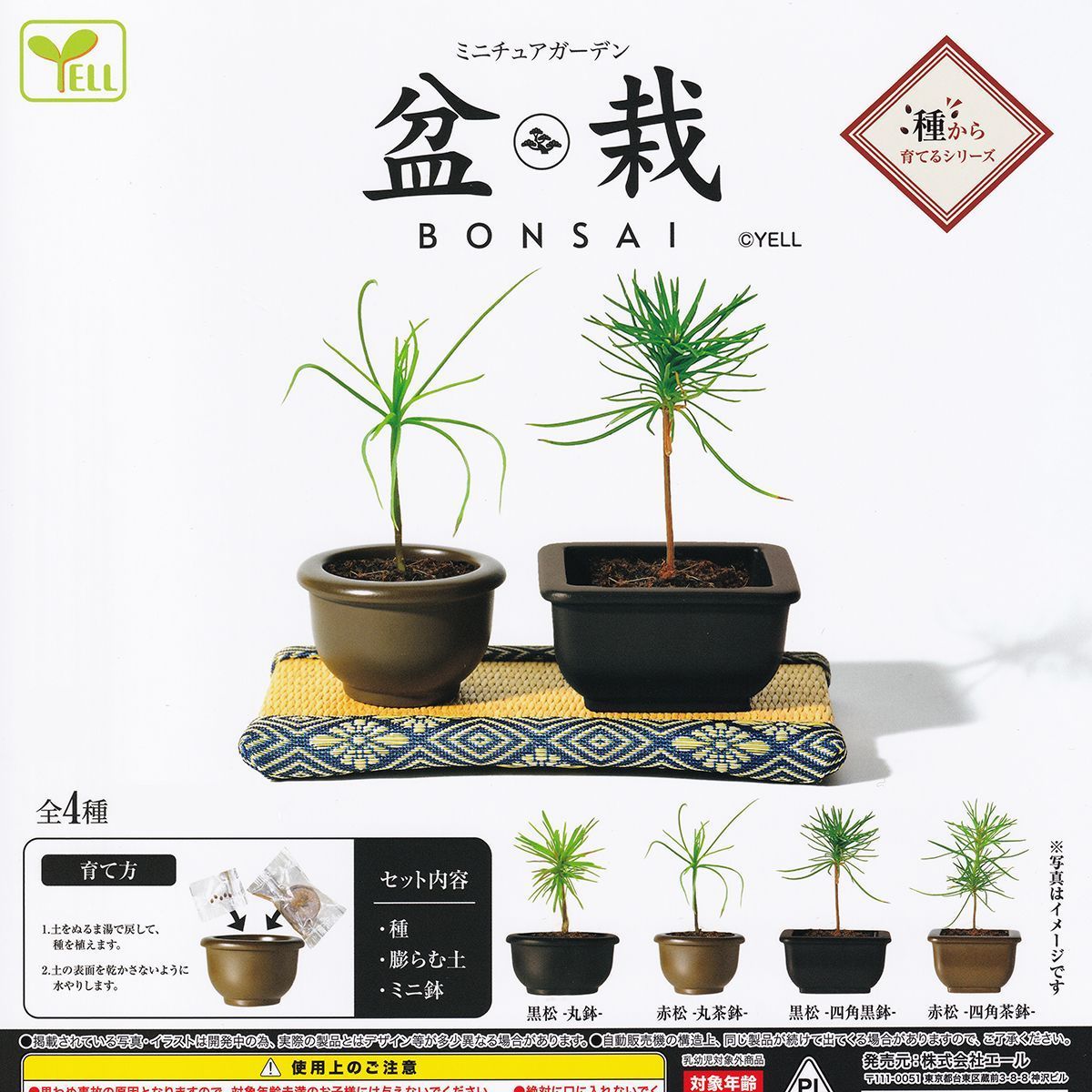 盆栽(割烹) 心得 