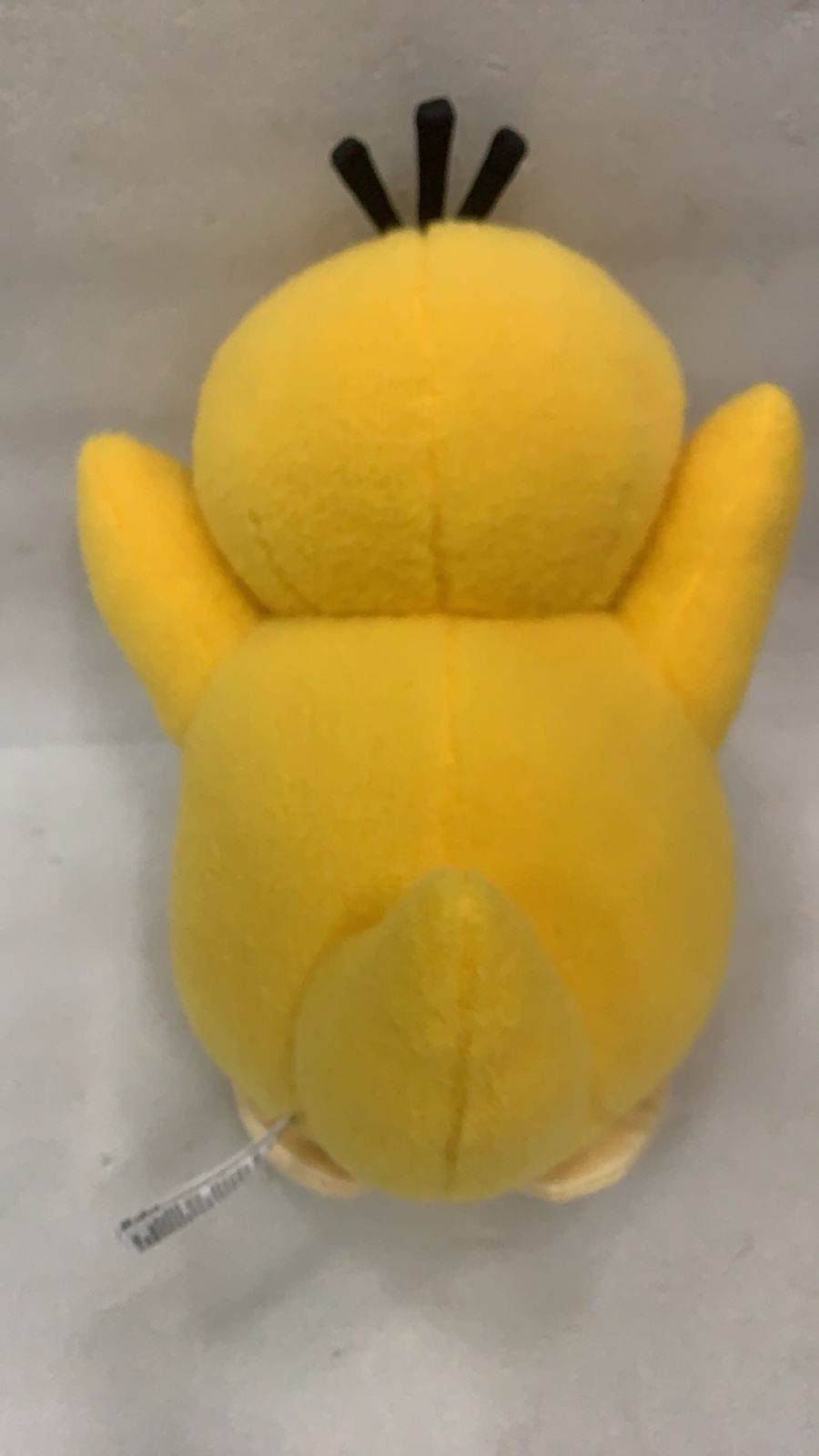 ポージングぬいぐるみ コダック ポケモンコンシェルジュ 523338