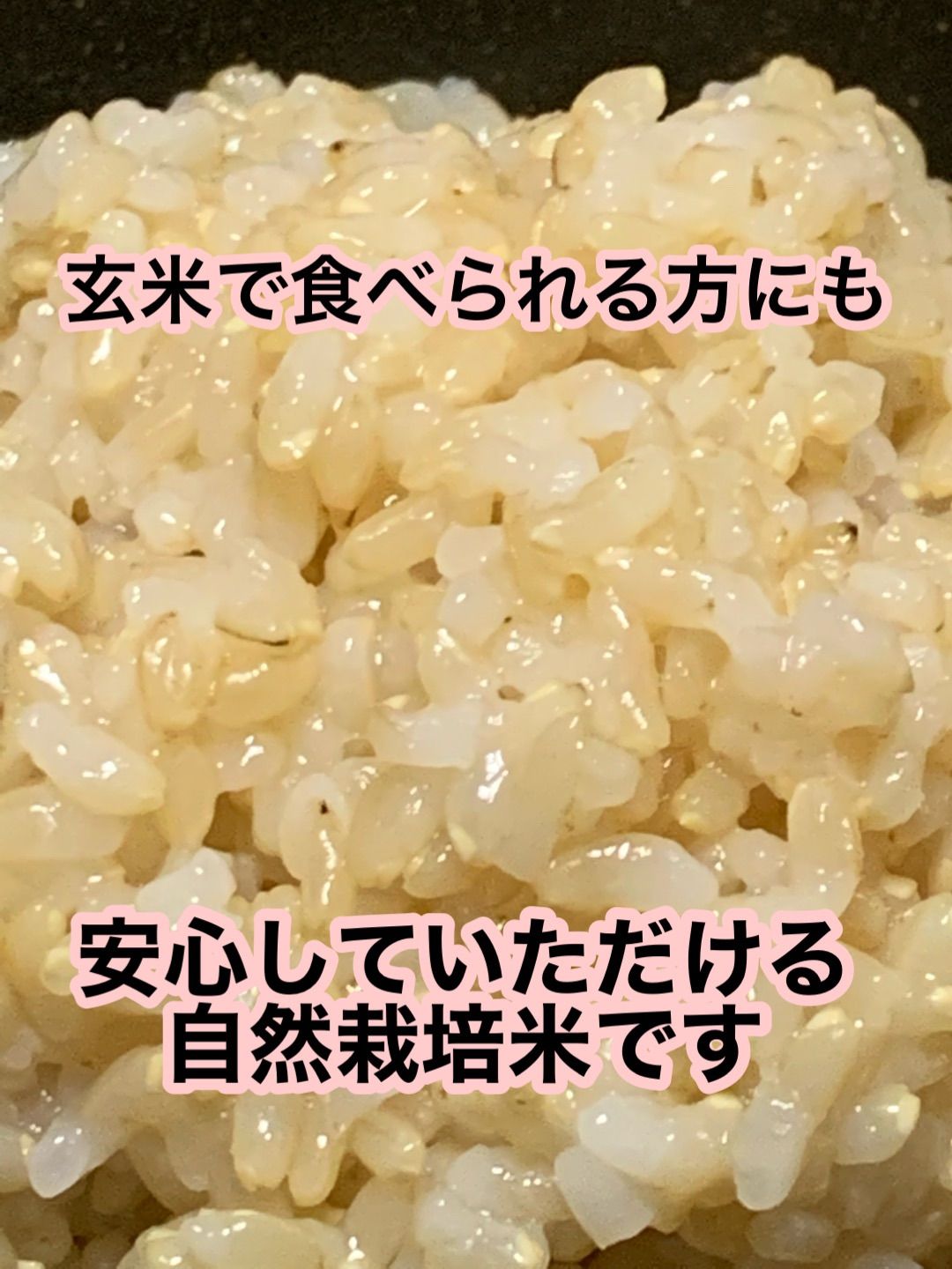米　玄米　自然栽培米　イセヒカリ　10ｋｇ