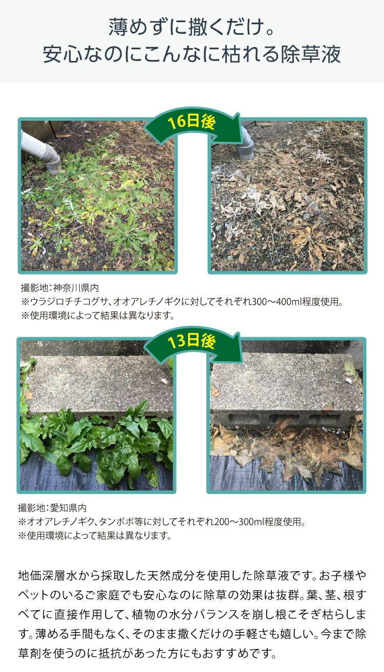 無害