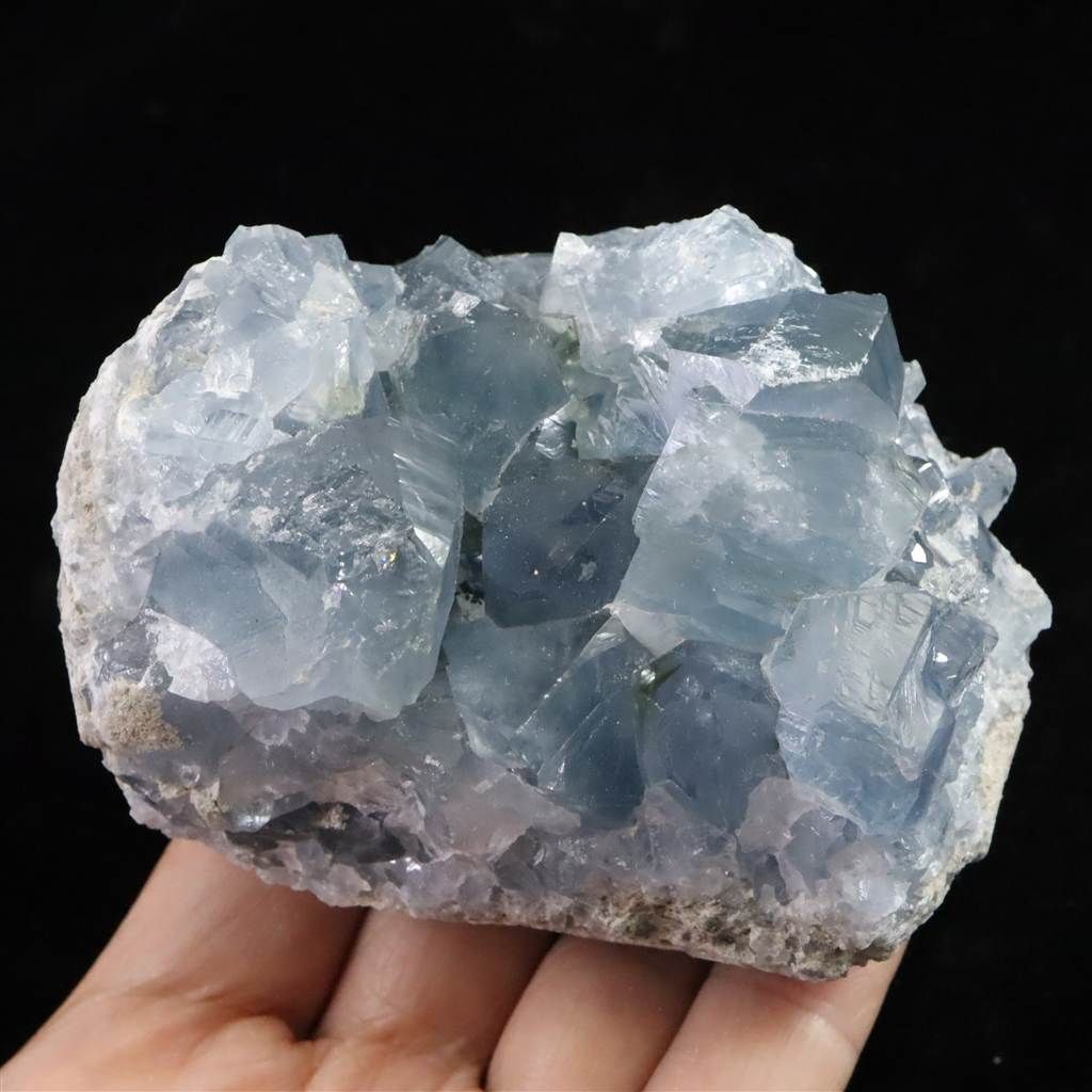 セレスタイト 天青石 原石 490.0g 榎本通商68472 USTAUSTRALIA_COM_AU