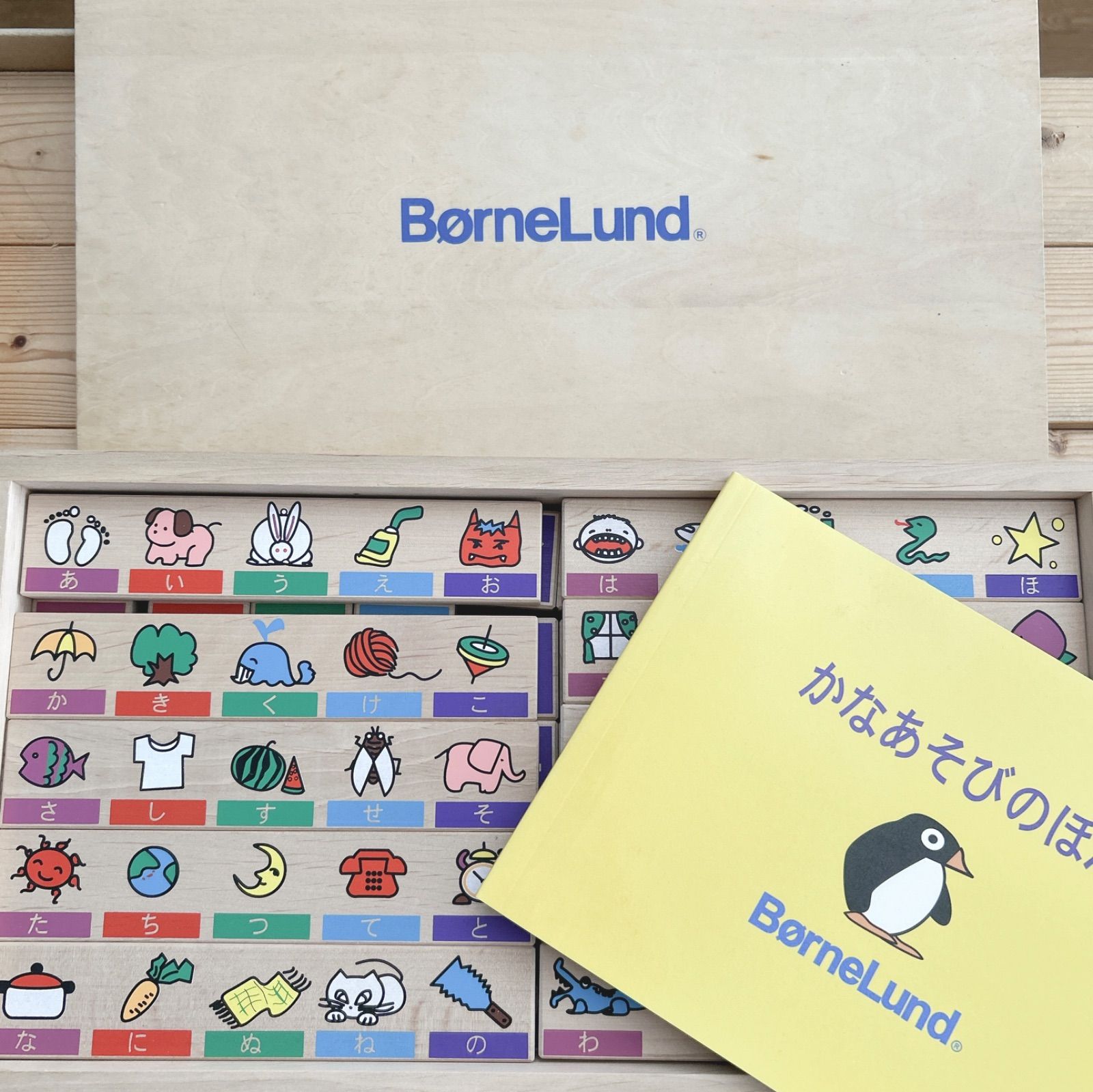 洋蘭原種］Phal. cochlearis 【#25074】ユッカ アロイフォリア 多頭