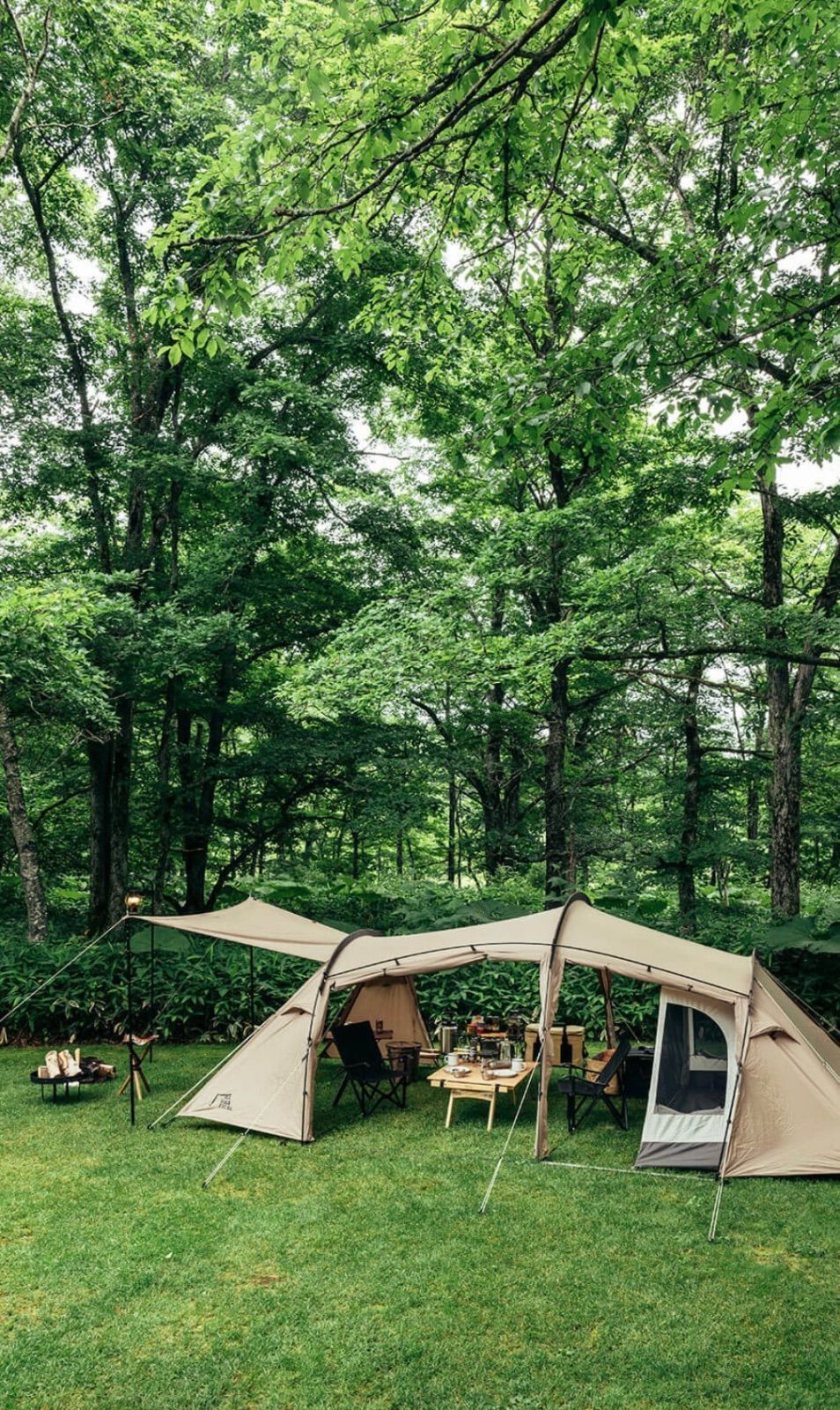 新品 未使用 】SABBATICAL サバティカル GILIA ギリア インナー