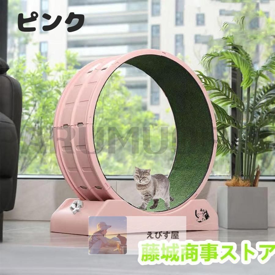 猫 回し車
