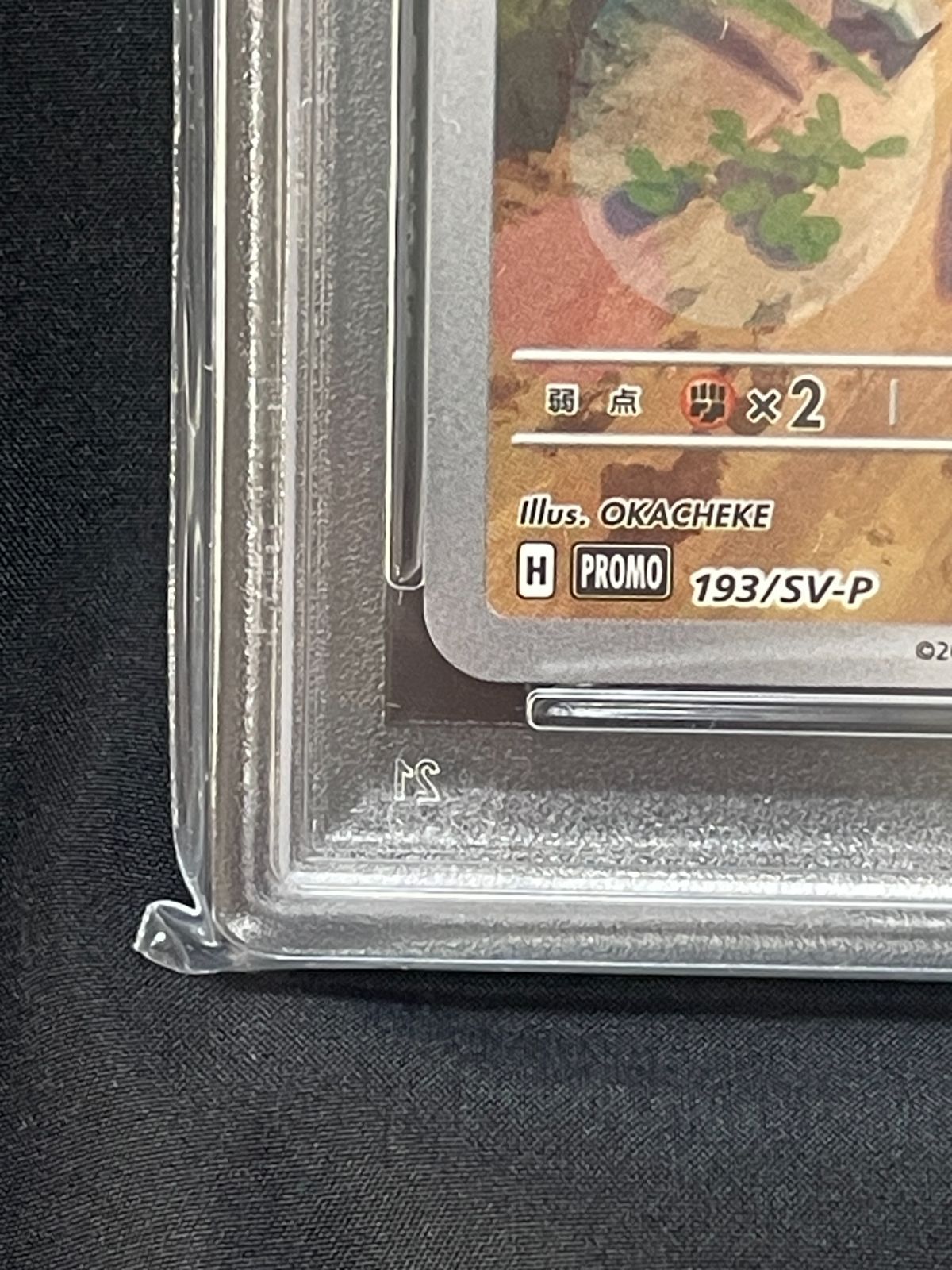 PSA10】 ポケモンカード パルデアウパー AR 193/SV-P プロモ