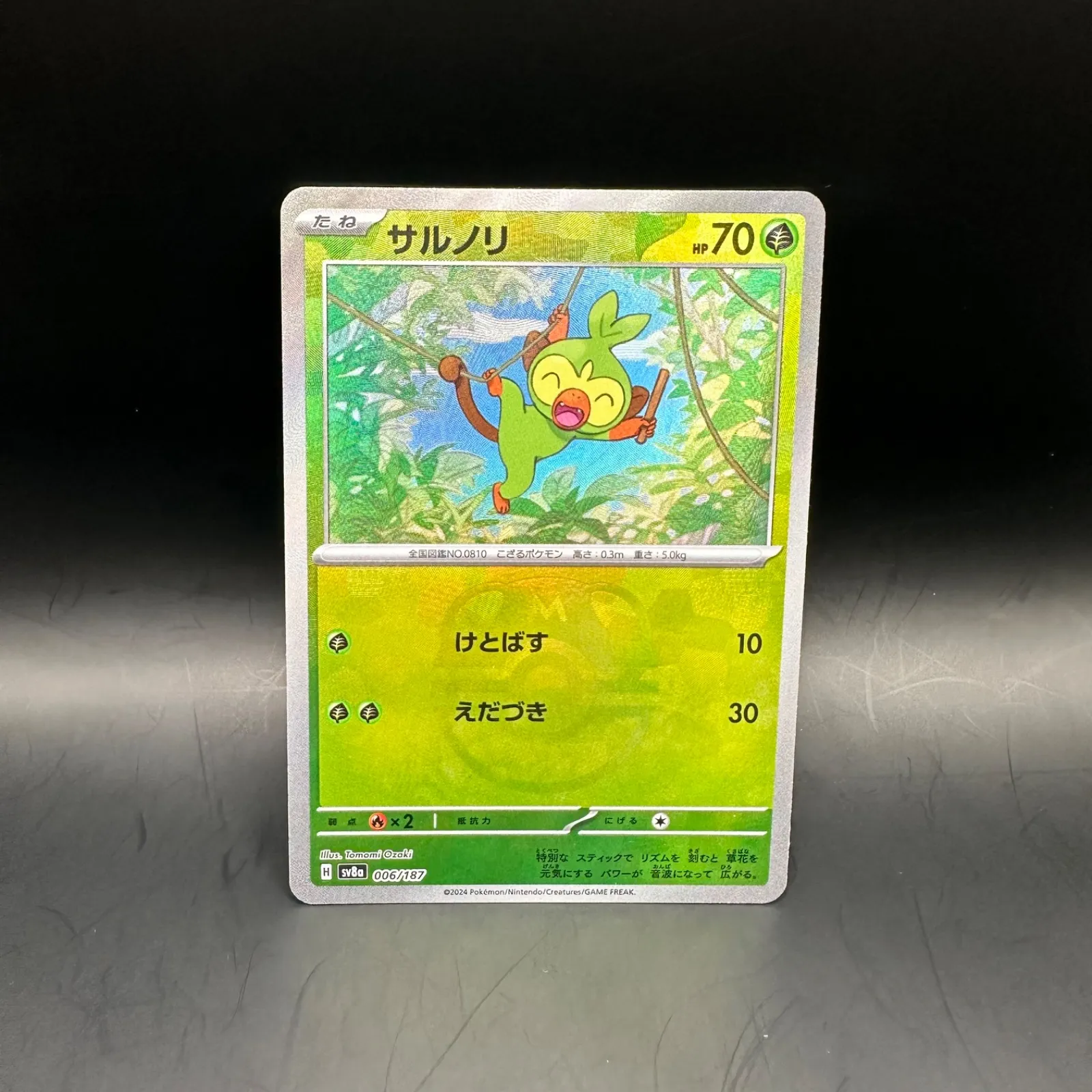 2025年最新】ゼイユ マスターボールの人気アイテム - メルカリ