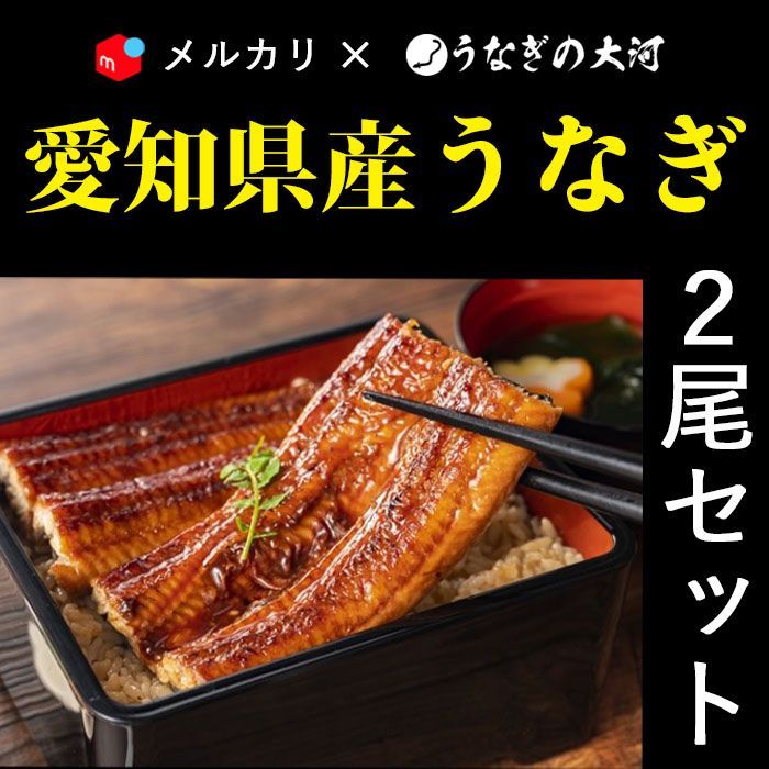 「訳ありうなぎ愛知産」 鰻 蒲焼き (151g～181g) ｘ2尾 うなぎ ギフト 国産 ウナギ  贈り物 【うなぎの大河】