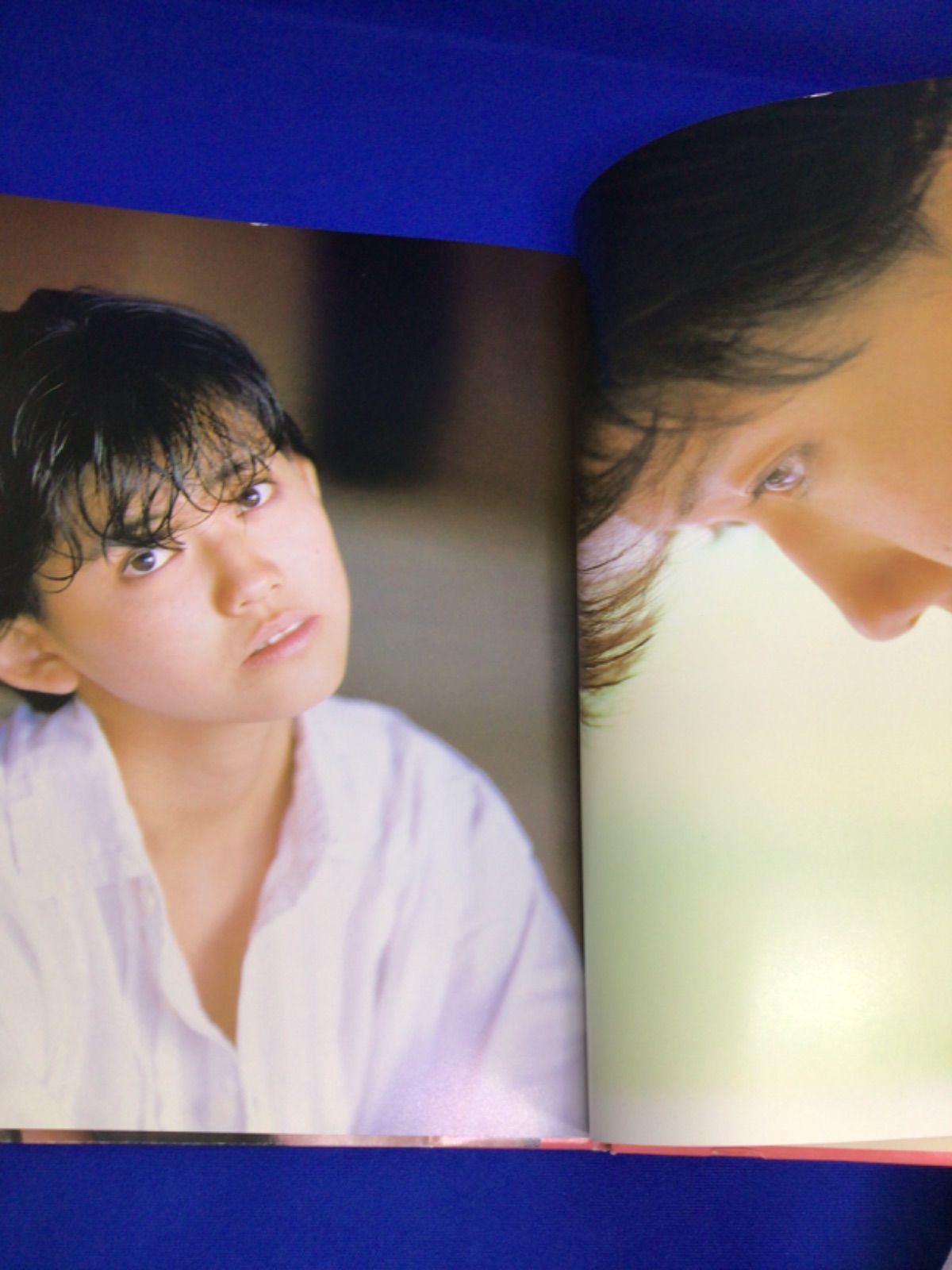 松本伊代 だれか誘惑 ポスター付き‼️ 写真集 小沢忠恭 ワニ