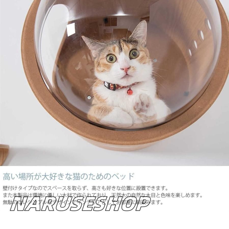 猫ハウス