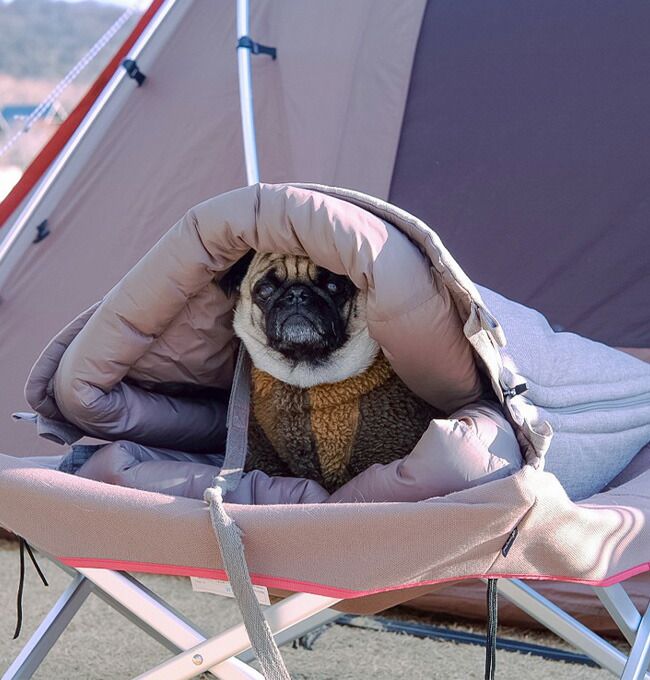 ショップ 【新品】snow peak スノーピーク ドッグオフトン ドッグ