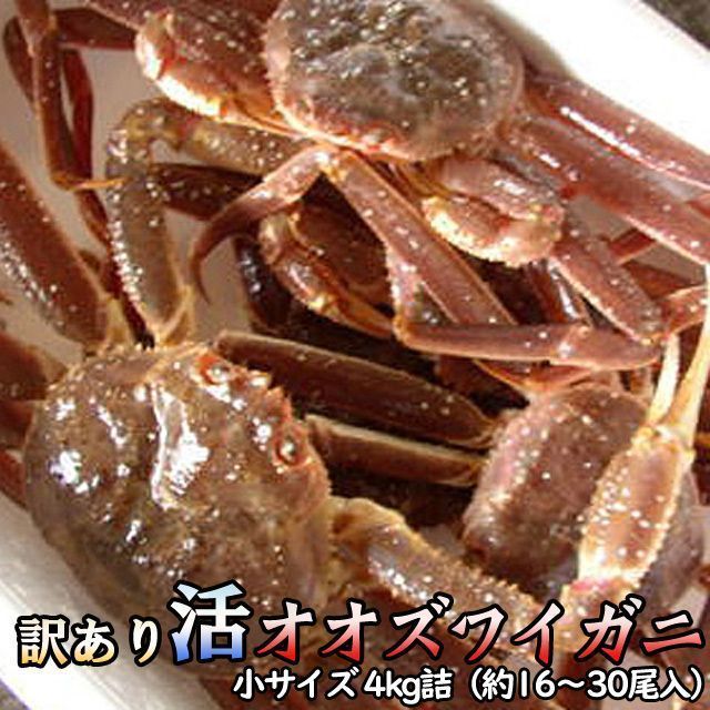 活オオズワイガニ 小サイズ 4kg詰 身入り7割前後