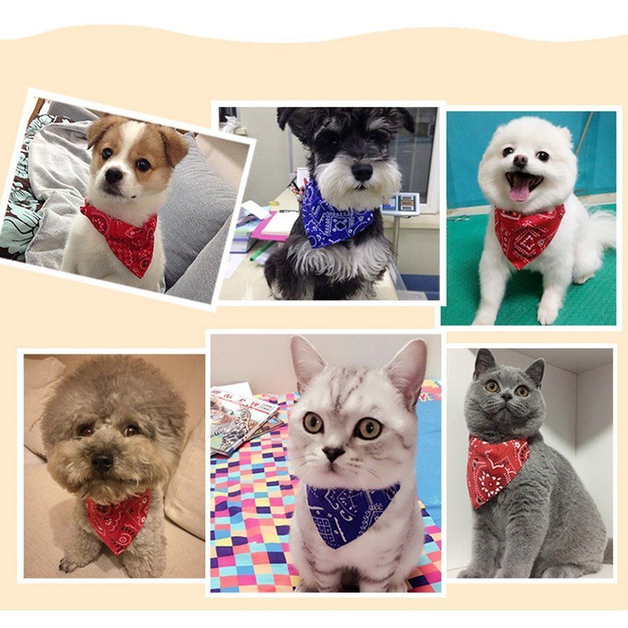 バンダナ 首輪 ペット 犬 猫 ペット首輪 猫首輪 犬首輪 猫 犬 首輪 スカーフ バンダナ サイズ