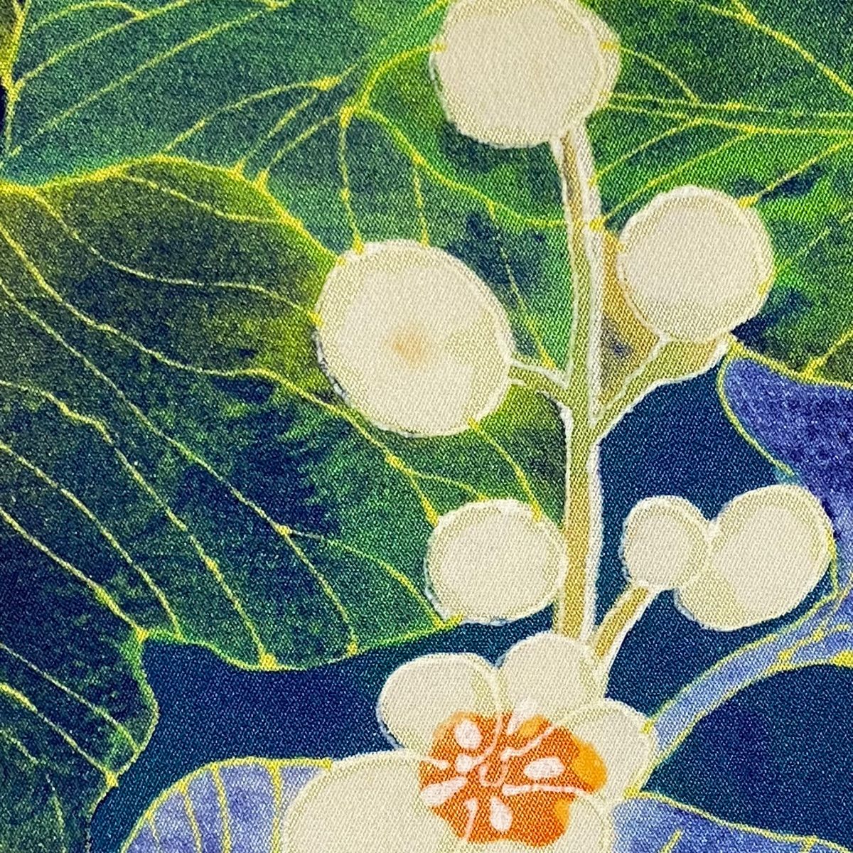 身丈162cm 裄丈64.5cm