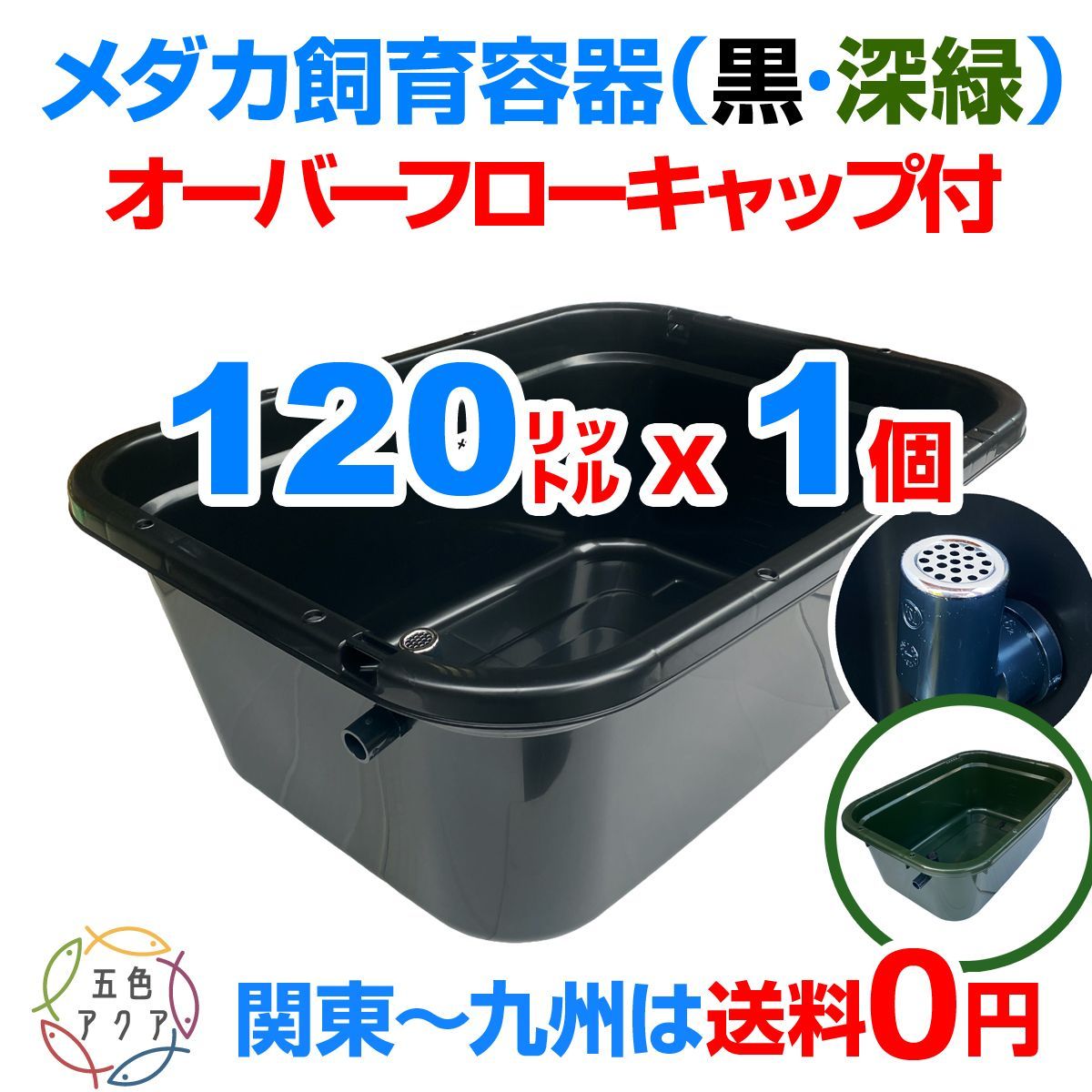 新タイプ】メダカ飼育ケース 75㍑x2個【黒・深緑あり】オーバーフロー
