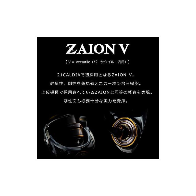 ダイワ(DAIWA) 21 カルディア 高品質 LT2500S-XH 0
