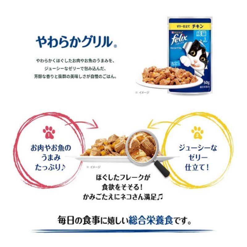 50g 48袋セット