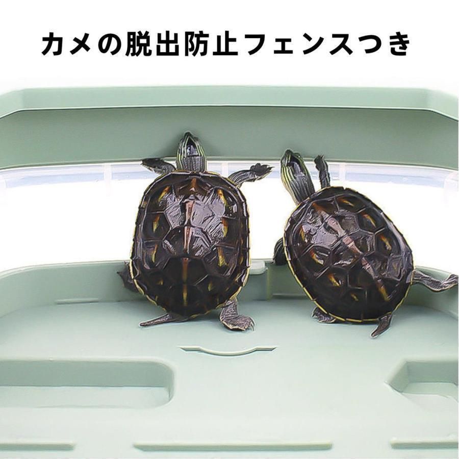 飼育ケース
