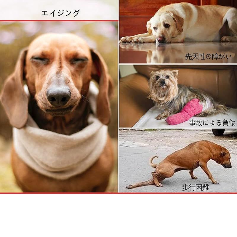 犬用車椅子 犬の歩行器 犬用2輪歩行器 後肢 リハビリ 犬用カート補助輪 軽量 サイズ調整可能 車いす チワワ ダックス コーギー 老犬介護 ペットチェア (L)