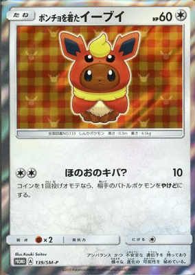 ポンチョを着たイーブイ【ブースター】