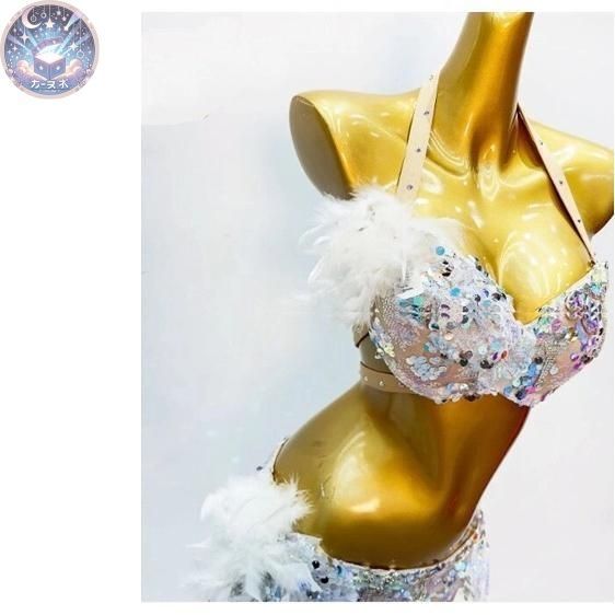 ベリーダンス衣装 上下セット 羽根 ブラ スカート オーダーメイド 新品 未使用 新作 ベリーダンス衣装 上下セット 羽根 ブラ