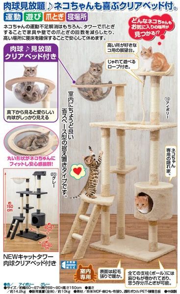 おしゃれ かわいい