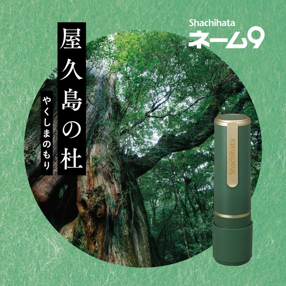メールオーダー式