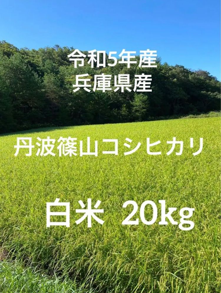 新米【丹波篠山コシヒカリ】白米/20㎏ 令和5年産〈単一原料米〉食味値