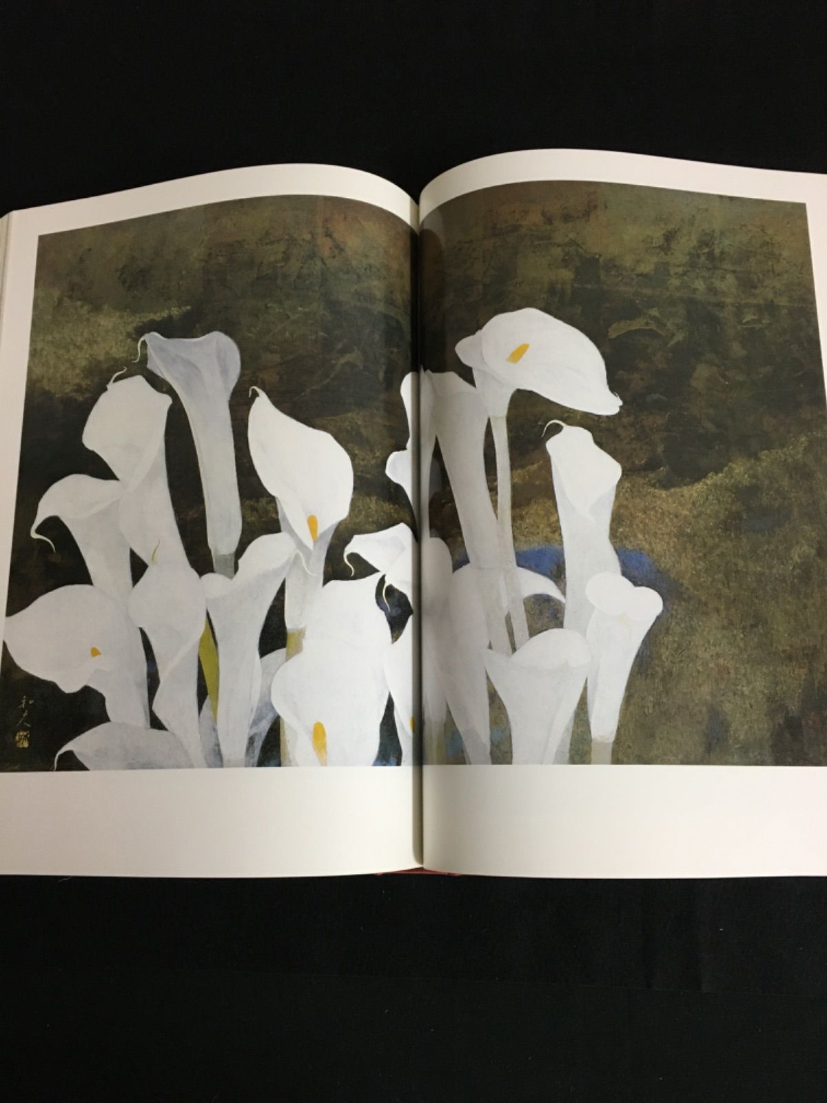 新品　激レア　貴重　「加倉井和夫画集 限定500部 定価98000円　保証付き 新品 激レア 貴重 「加倉井和夫画集 限定500部 定価98000円 保証付き