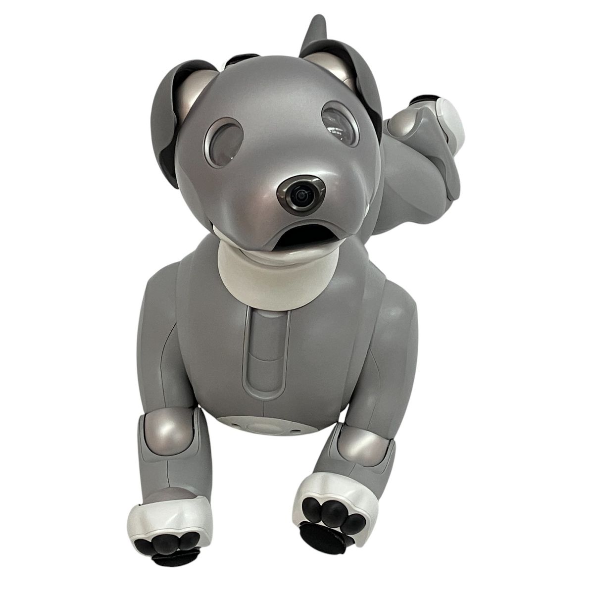 黒ゴマ ソニー アイボ ERS-1000 アイボーン AIBO SONY レア 黒ゴマ ソニー アイボ ERS-1000 アイボーン AIBO SONY レア