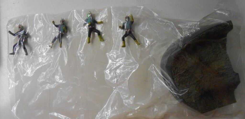 バンダイ ライダー昭和名鑑 仮面ライダー ゲルショッカー首領の正体