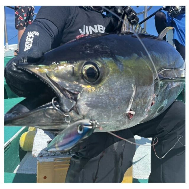 甚兵衛 やをら 180 #05 トビウオ | 釣具 釣り フィッシング - メルカリ