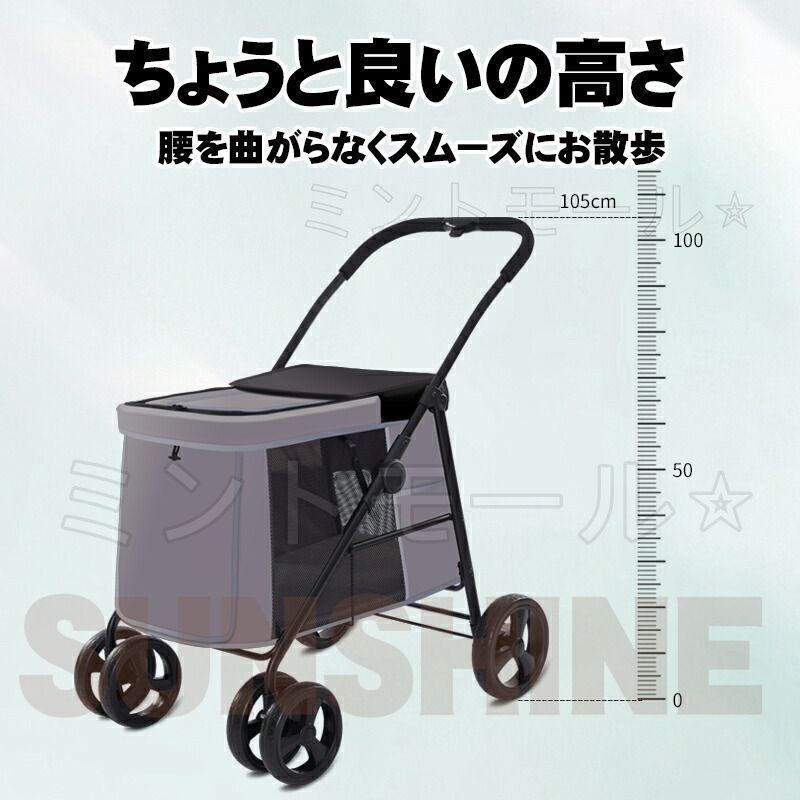バギー