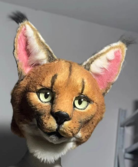 猫 リアル 着ぐるみ ケモノ ファースーツ コスプレ コスチューム