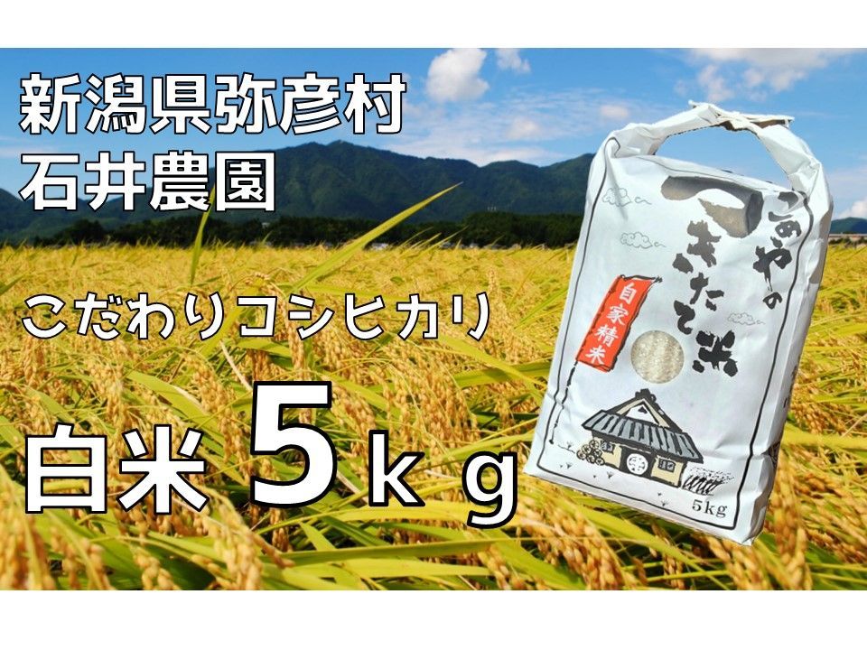 【24年産・送料込み】新潟県弥彦村石井農園　令和6年（2024年）産コシヒカリ【白米 5kg】