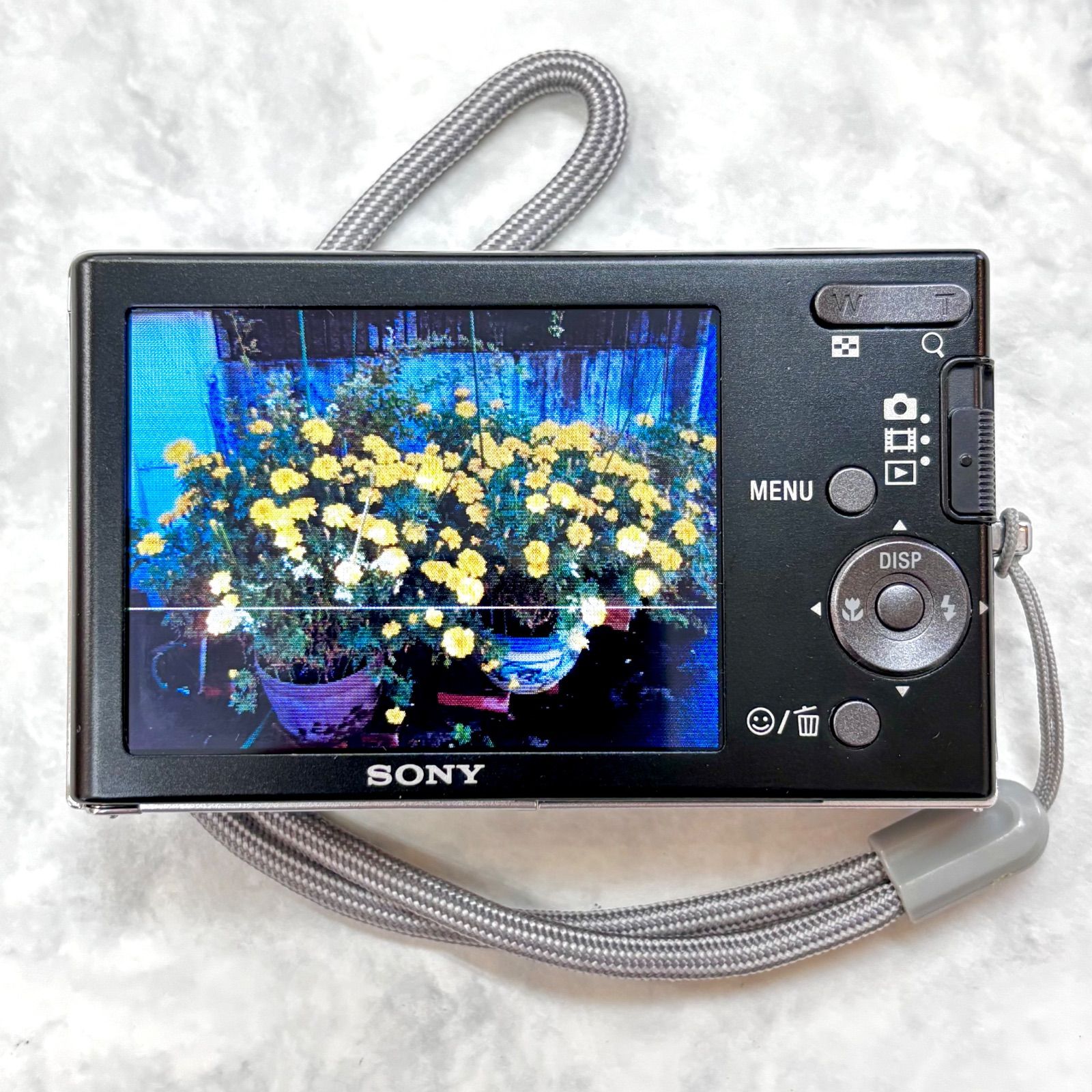 SONY