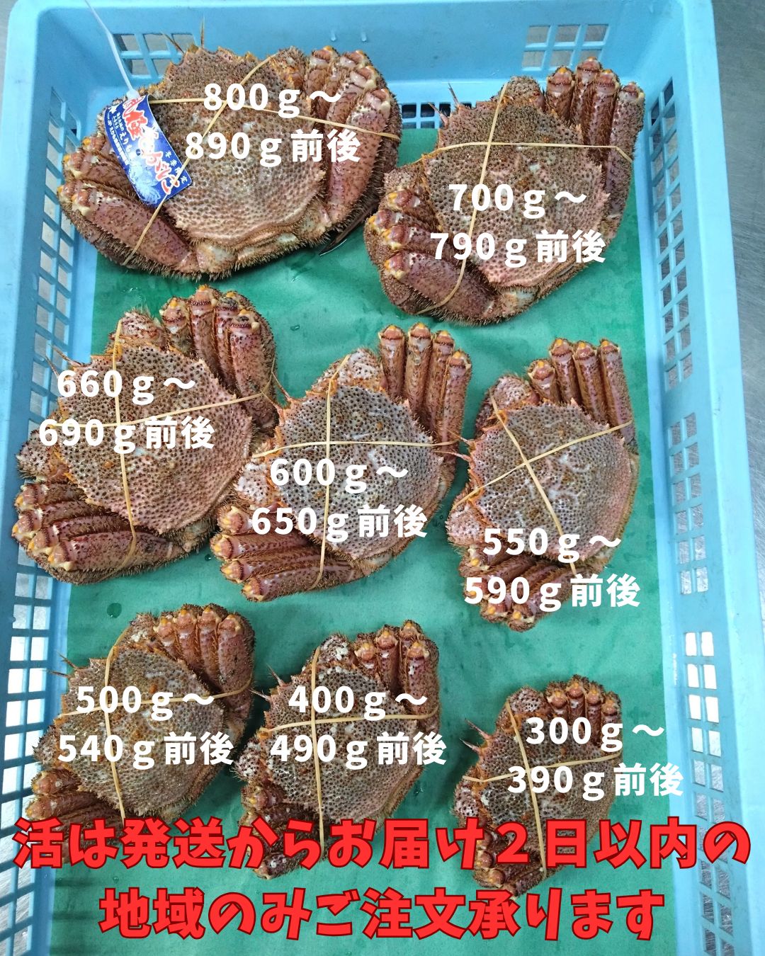 活きたまま 活毛ガニ