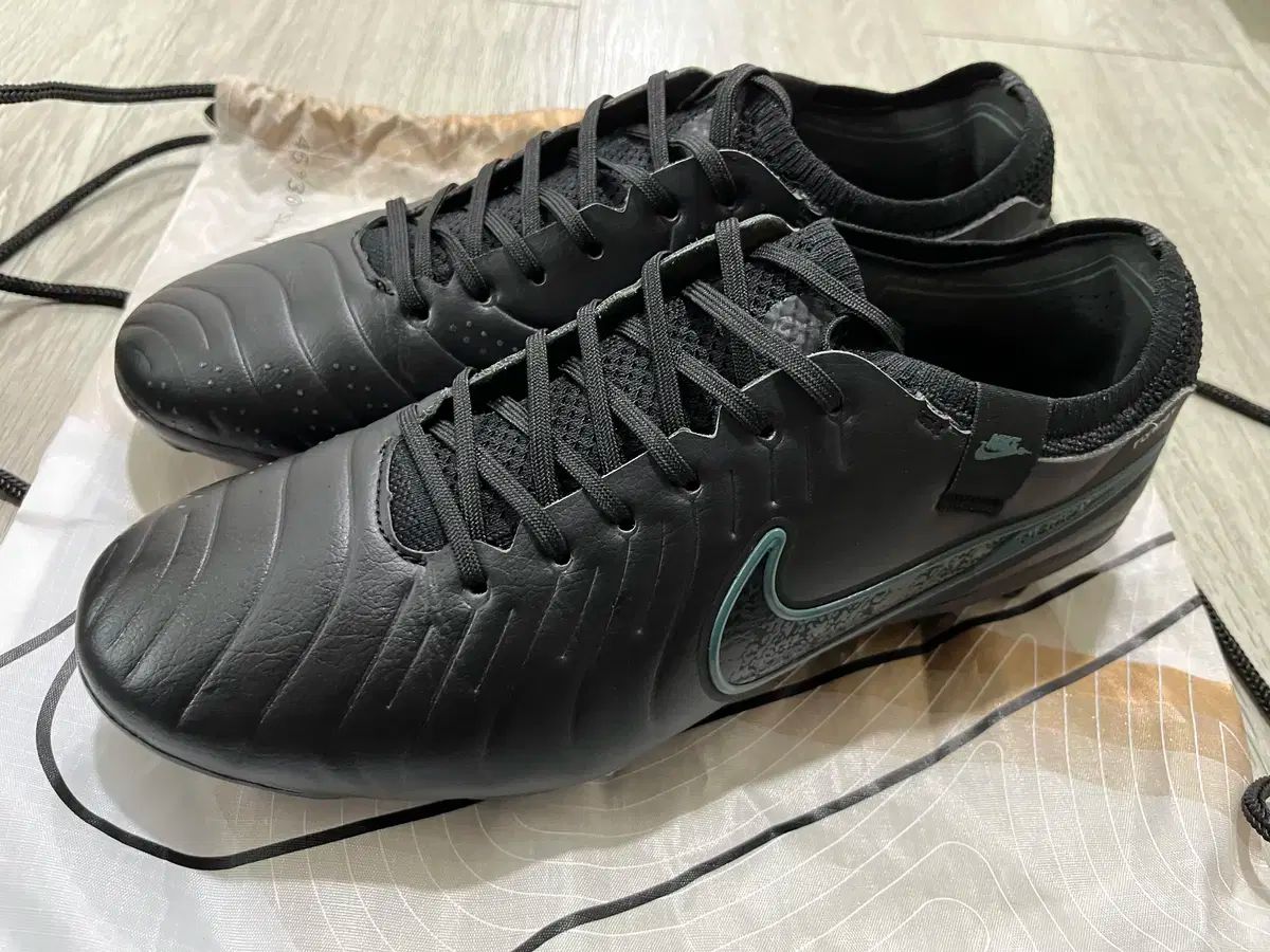 NIKE ナイキ ティエンポ レジェンド 10 エリート FG 260 サッカーシューズ