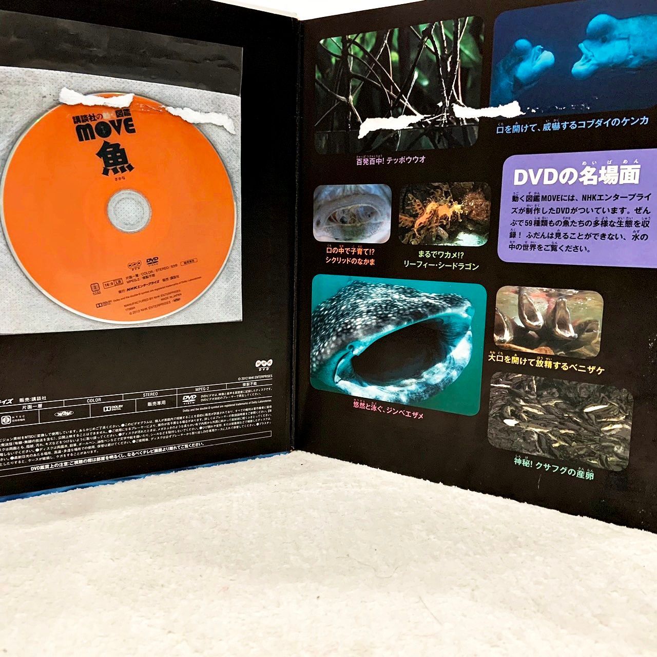 講談社の動く図鑑move(ムーブ) 全10巻/全巻セット 本