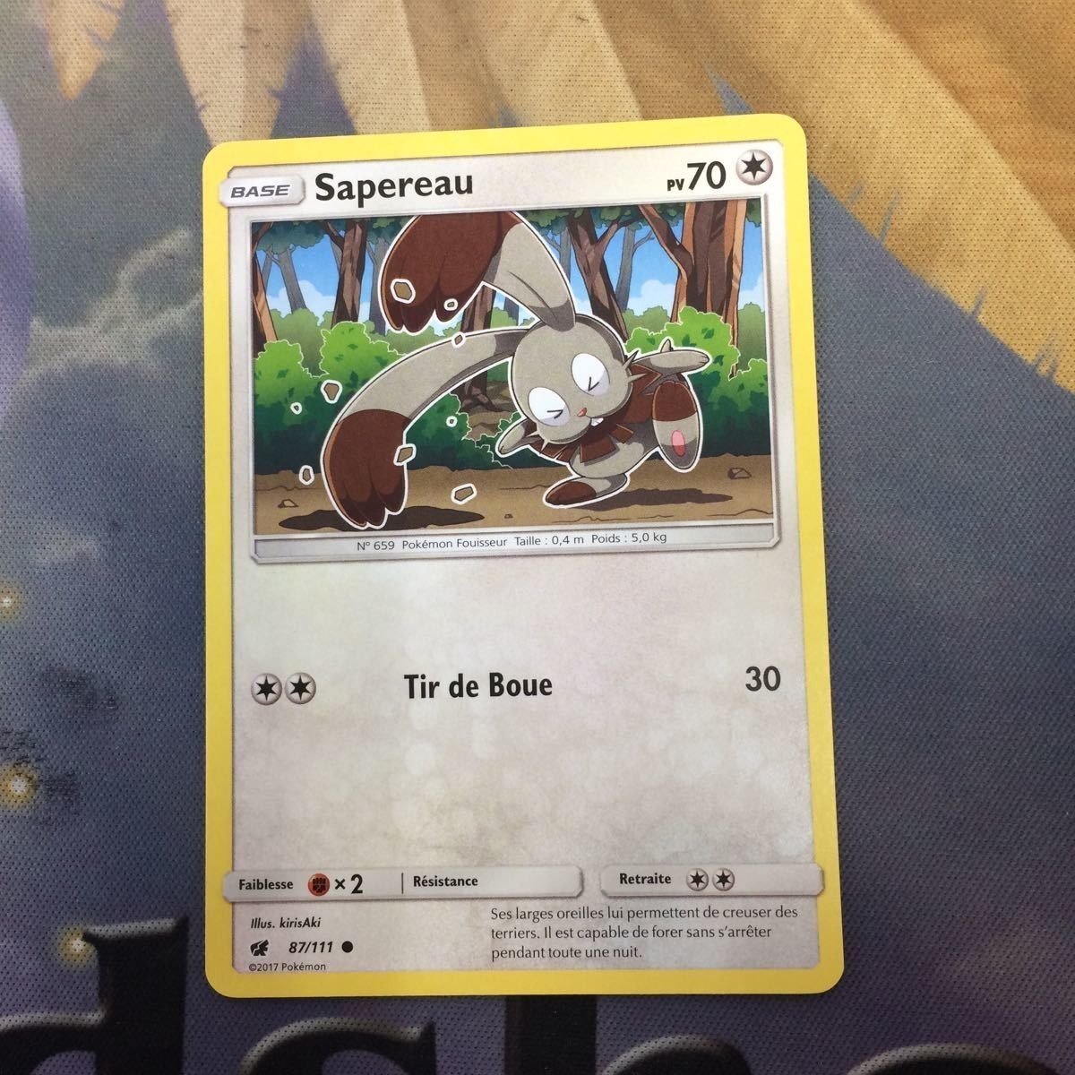 ポケモンカードゲーム ホルード ホルード | ポケモンカードゲーム公式ホームページ