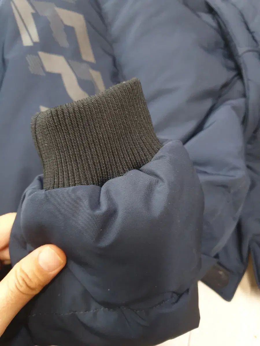 グースダウン