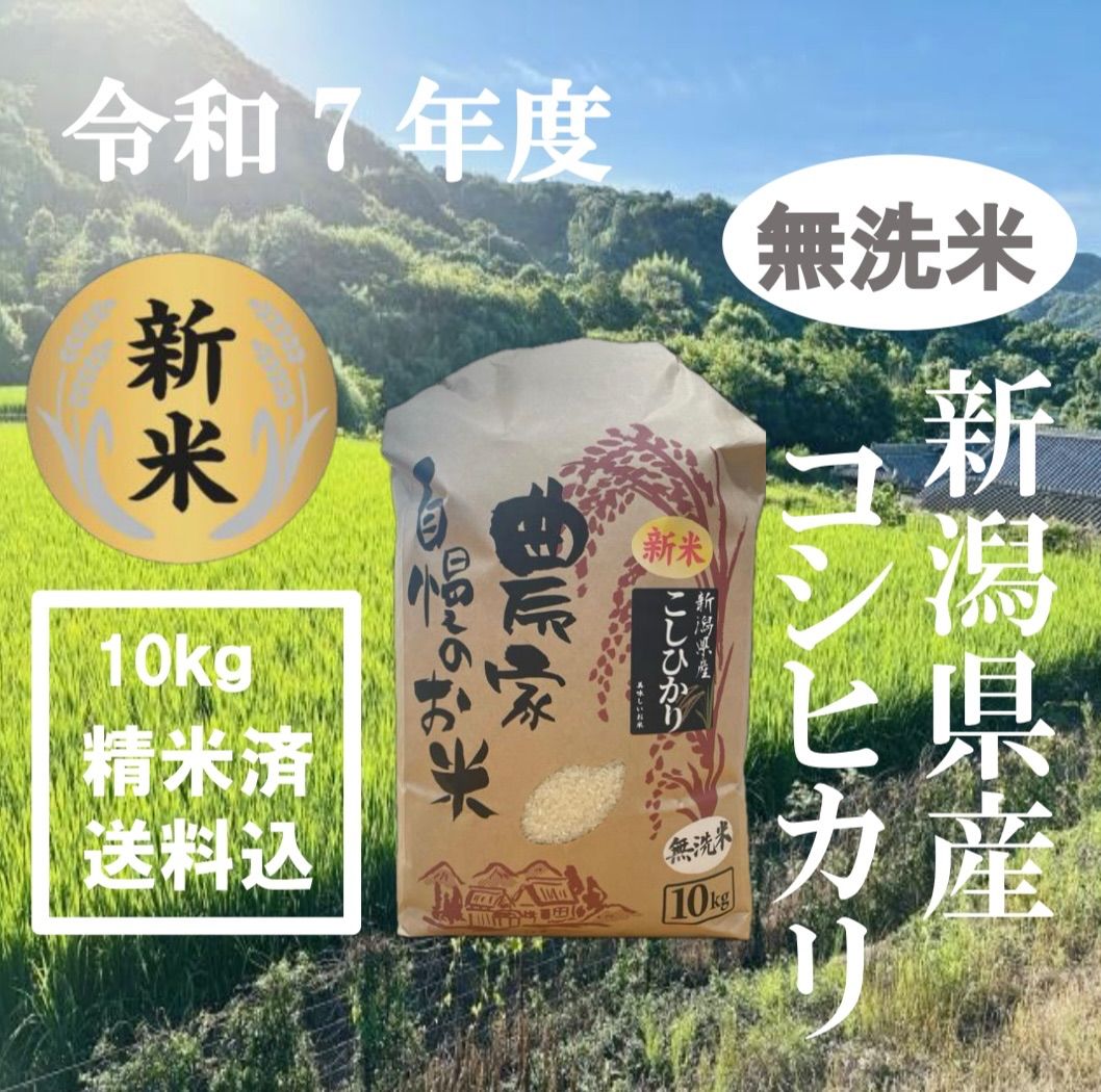 10 27 月 発送 新米 新潟県産コシヒカリ 無洗米 白米100％ コシヒカリ新米