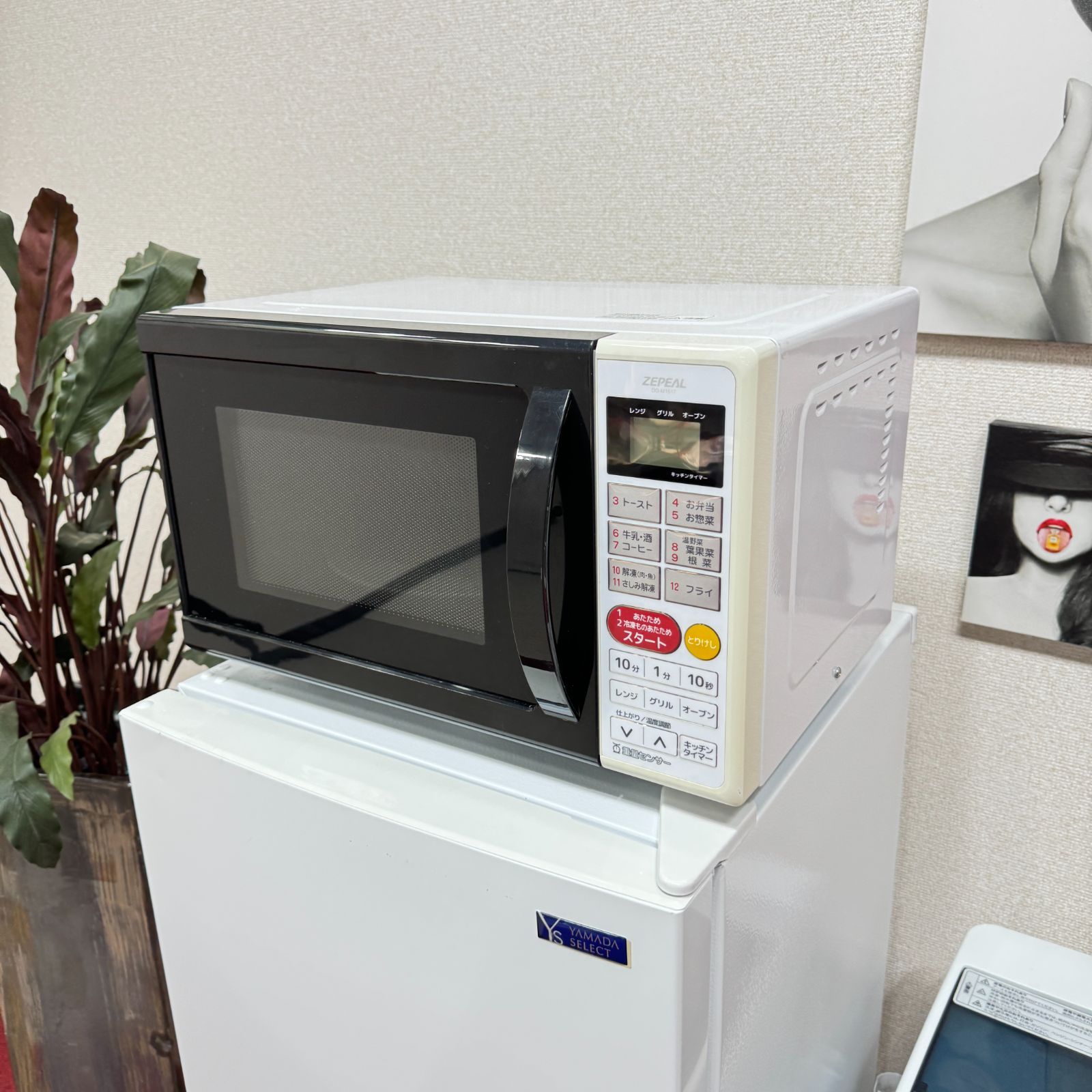 プロによる洗浄|除菌済み