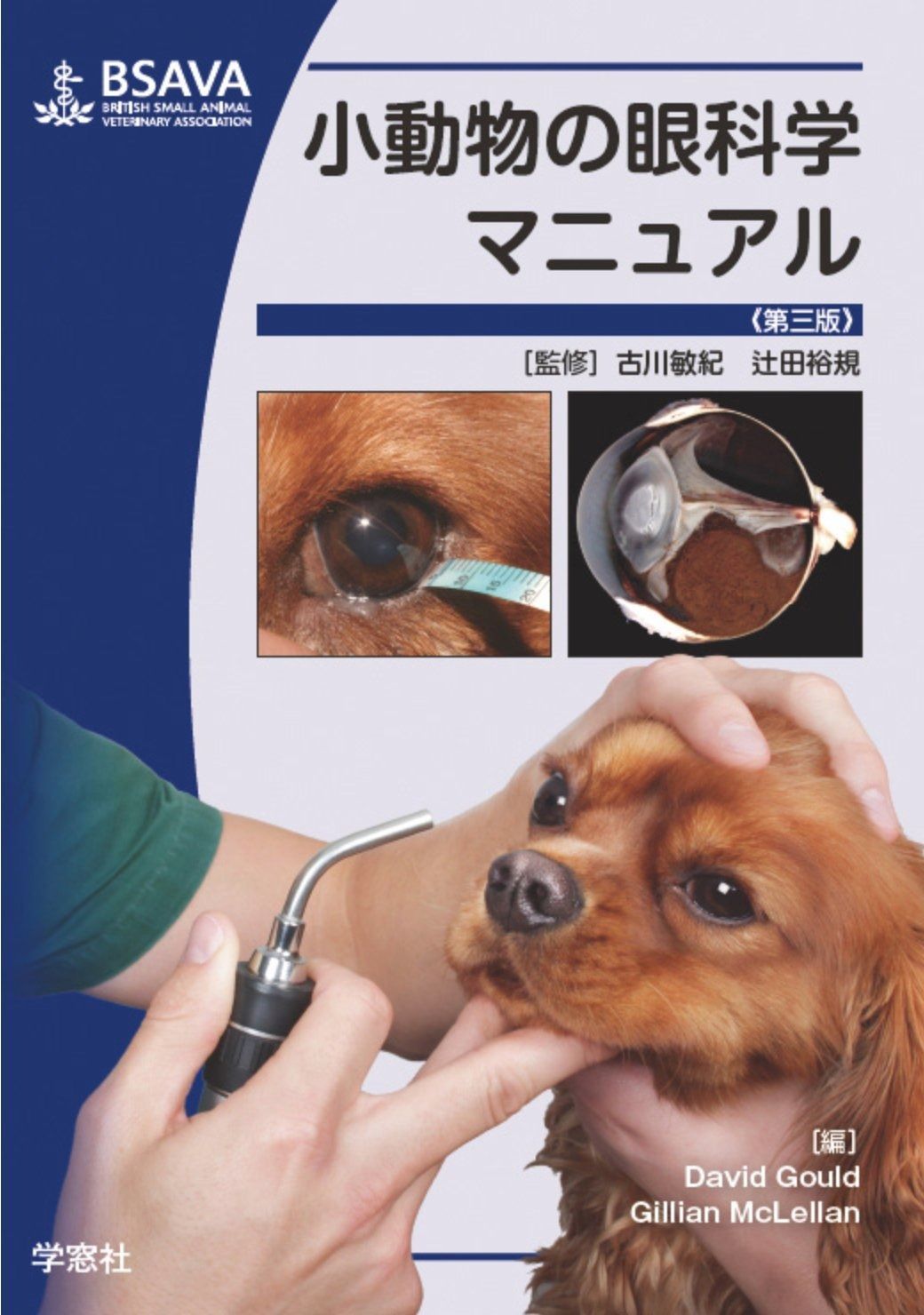 眼科学 第3版 眼科学 (第3版) 眼科学 Textbook of Ophthalmology 第3版