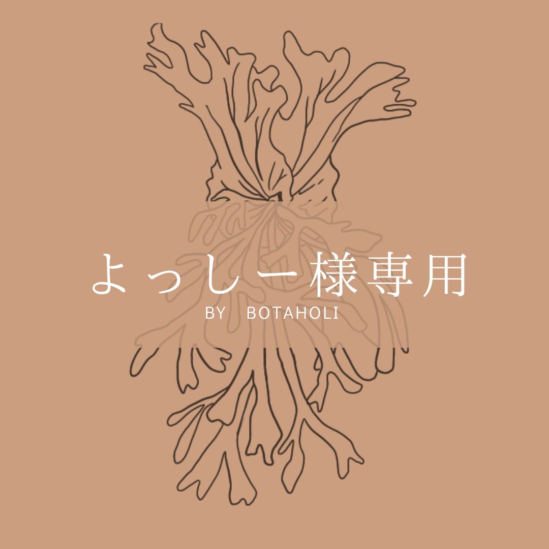 よっしー様 - メルカリ