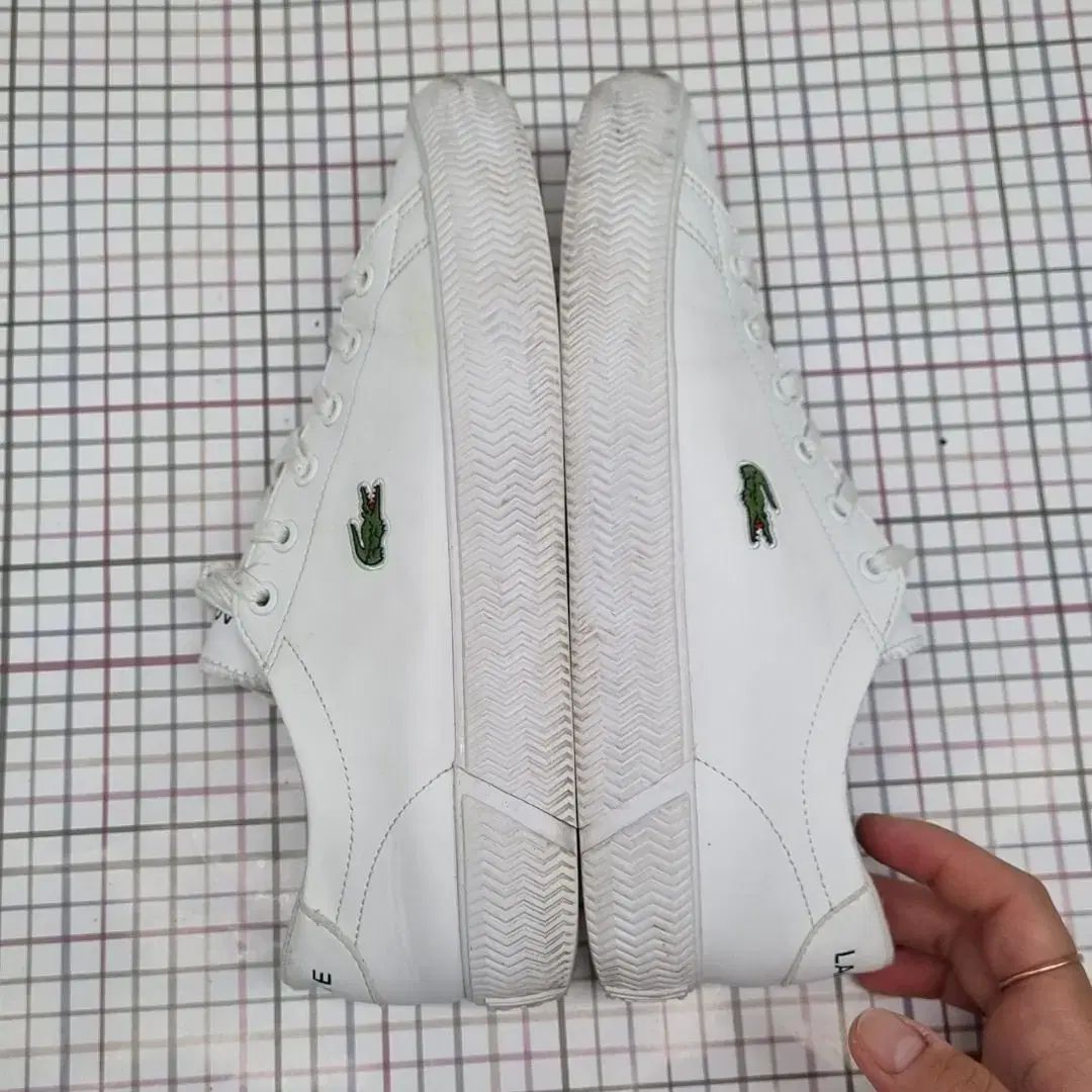 LACOSTE(ラコステ) グリップショット スニーカーズ 240_ ラコステ 