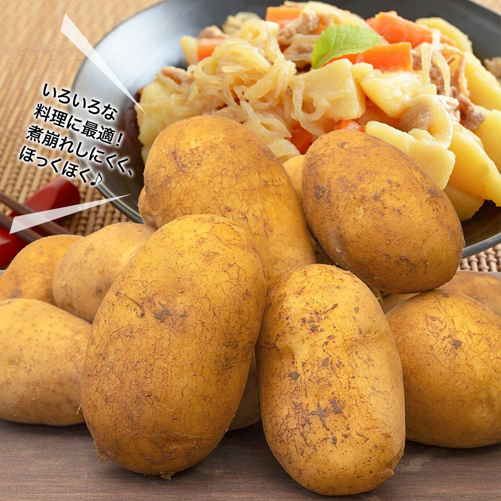 野菜セットB