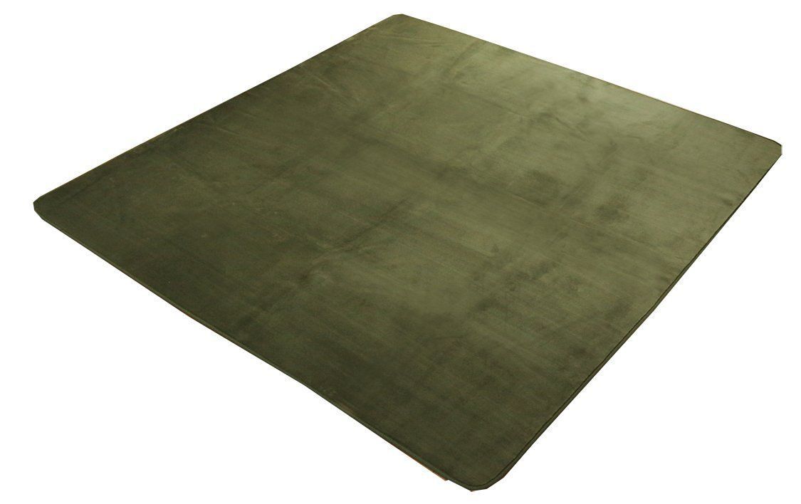 抗菌 セール中 防臭 洗える グリーン 約200×250cm 無地 無地 ピオニー