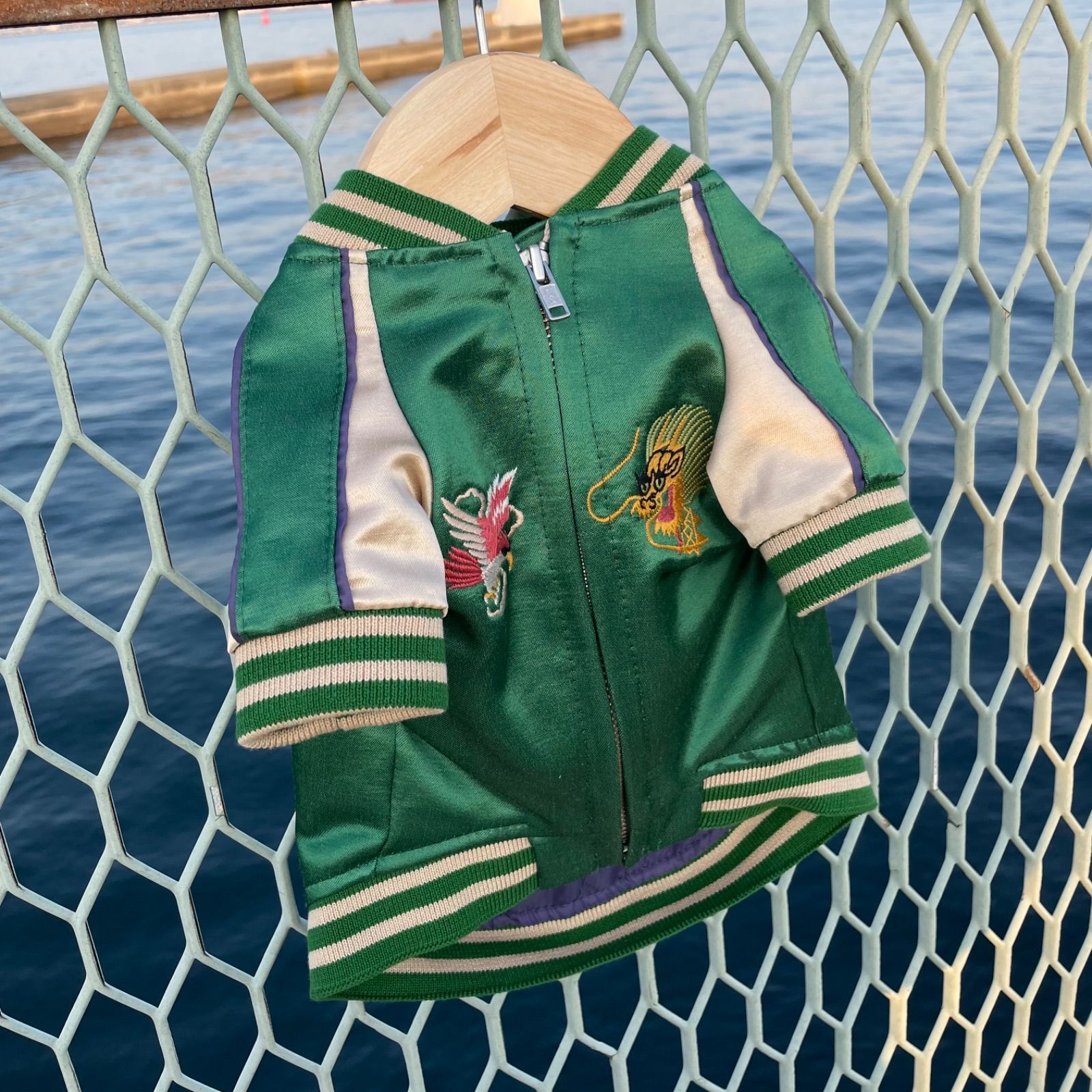 グリーン 犬服
