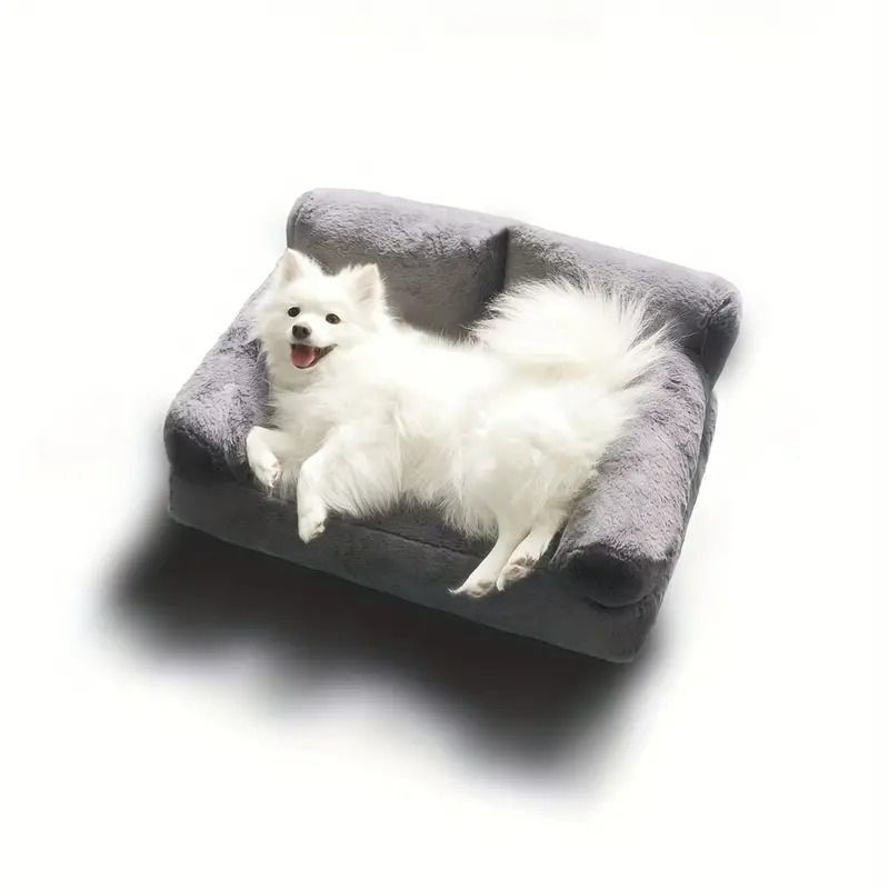 犬