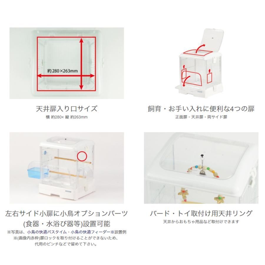 ホワイト